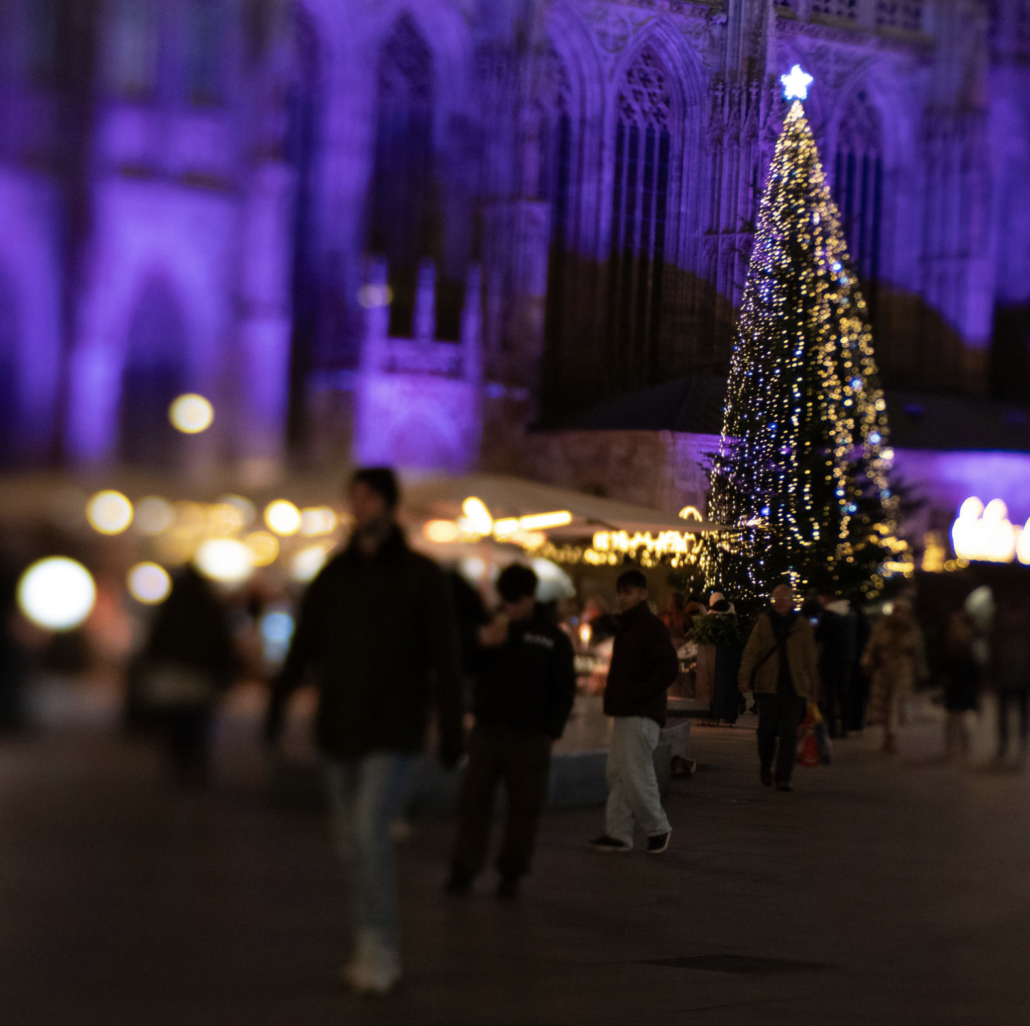 Christmas at St. Stephen’s Cathedral Christmas tree and market stalls beside St. Stephen’s Cathedral in purple light
