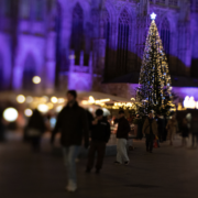 Christmas at St. Stephen’s Cathedral Christmas tree and market stalls beside St. Stephen’s Cathedral in purple light